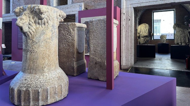 Allestimento della mostra