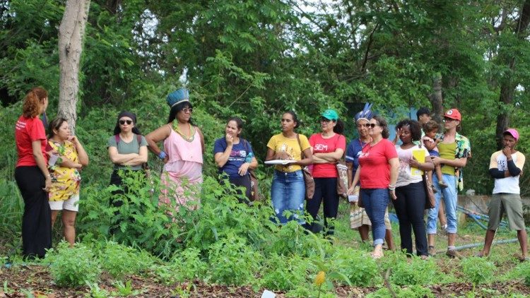 234 projetos de Ecologia Integral foram apoiados