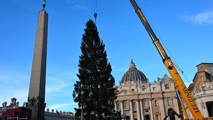 2025.11.27 Foto albero di Natale 2025