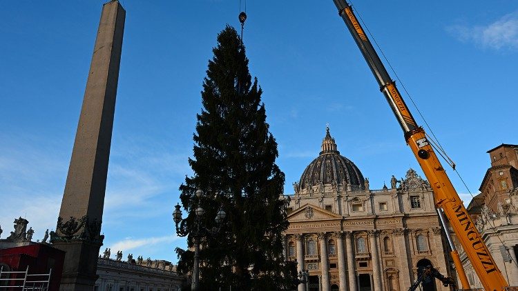L'albero di Natale 2025