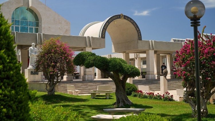 جامعة سيدة اللويزة