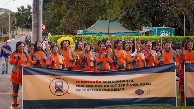 REPAM-Brasil reforça posicionamento sobre a Ferrogrão e a proteção da Amazônia perante o STF