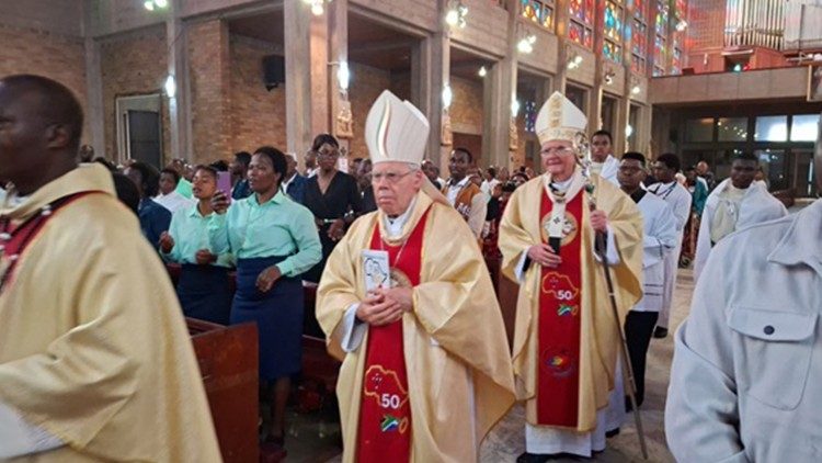 Cardeal Stephen Brislin, na procissão da Missa do Jubileu de Ouro dos Missionários da Africa