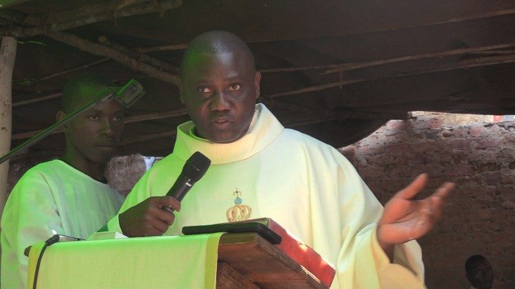 Padre José Joaquim Luís Pedro, Superior Provincial dos Combonianos em Moçambique