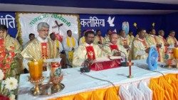 2025.10.28झारखंड के जारंगडीह स्थित ढोरी माता तीर्थालय में ढोरी माता का 69वां वार्षिक समारोह 