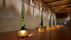 L'installazione "Dalle radici alle stelle" nelle Corsie Sistine (Foto di Francesco Gili)