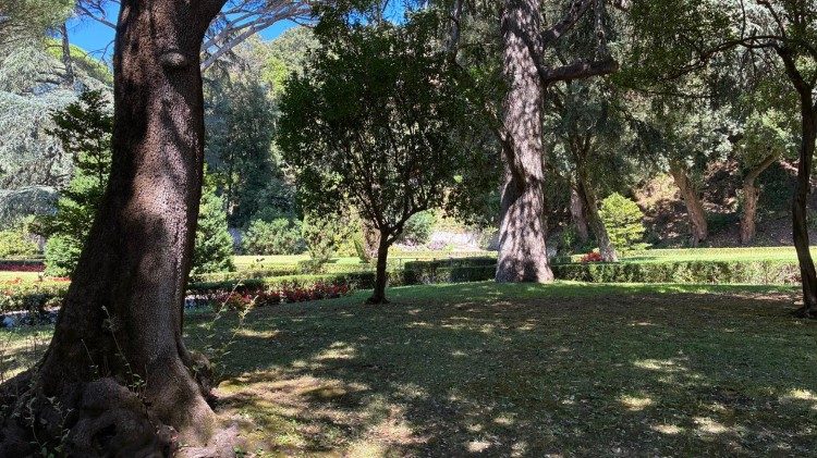 Reconectar con Dios a través de la naturaleza