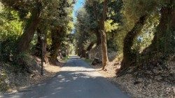 2025.09.02 Borgo Laudato si'