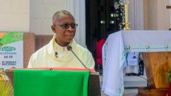 Padre Sílvio Anovo: Missa por ocasião do Jubileu dos catequistas na arquidiocese da Beira 