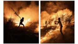 La exposición Earth Partner en Borgo Laudato Si’.