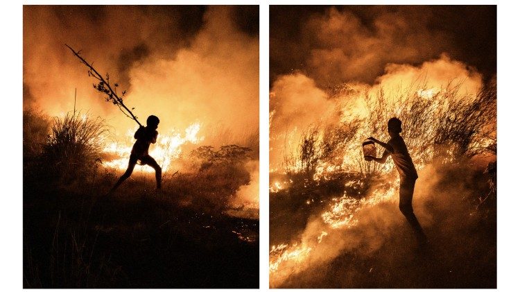 One of the works of the Earth Partner exhbition at Borgo Laudato Si’