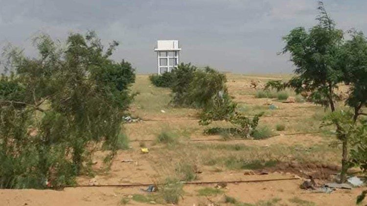 Floresta "Laudato Sì" em Moçâmedes, uma iniciativa da CEAST