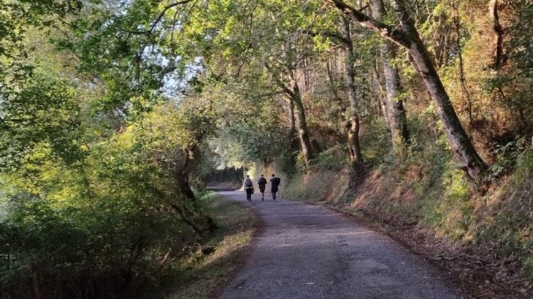 Un tratto del percorso del Cammino di Santiago (cammino inglese) - Foto di E. Coppola