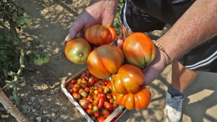 2025.09.22 foto orto carcere Pavia