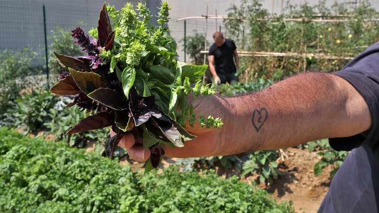 La fotografia dell'orto in carcere che ha vinto il premio social