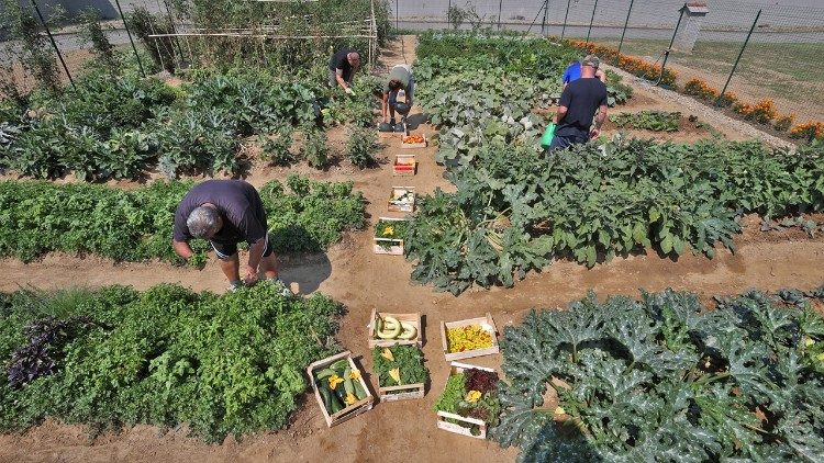 2025.09.23 foto orto carcere Pavia