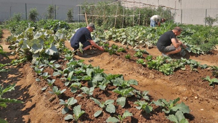 2025.09.23 foto orto carcere Pavia