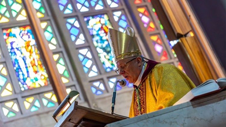 Dom Henryk Jagodziński, Núncio apostólico para a África Austral