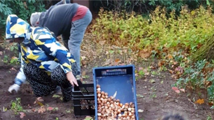 Residents work in the garden and plant vegetables