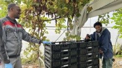 Due lavoratori della CatiBio