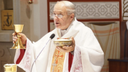 Біскуп Казімір Велікаселец падчас Імшы ў гомельскім касцёле