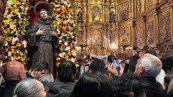 2026.02.11 La Colombia vive l'Anno Giubilare Francescano