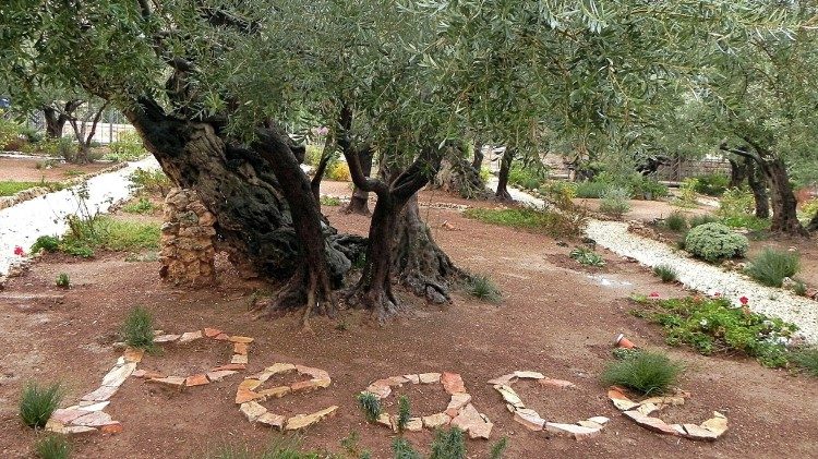 Garden of Gethsemane in Jerusalem