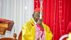 Le cardinal Polycarp Pengo, archevêque émérite de Dar-es-Salaam en Tanzanie, décédé jeudi 19 février 2026.