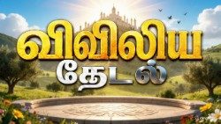 விவிலியத் தேடல் 
