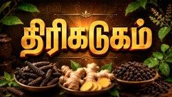 திரிகடுகம்