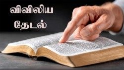 விவிலியத் தேடல் 