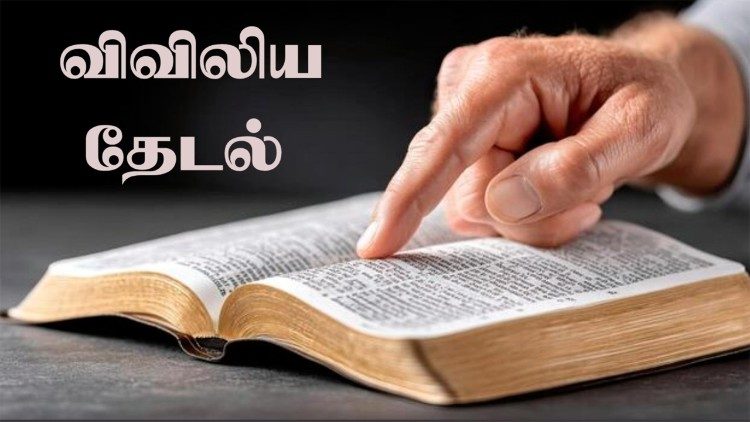 விவிலியத் தேடல் 