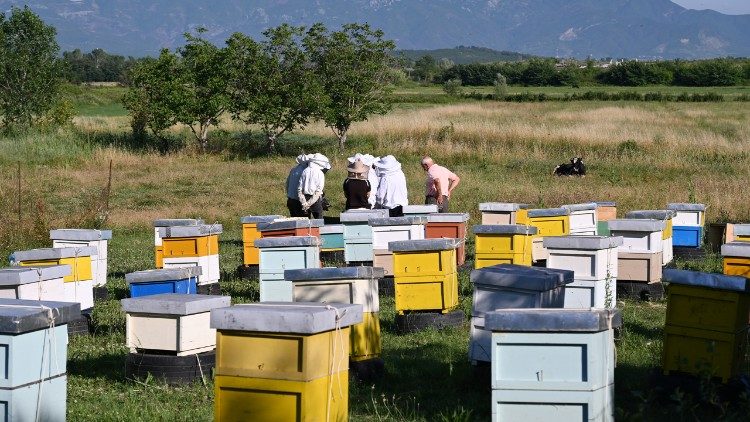 Il sito di Puka dove prende vita il progetto sostenuto dalla Cei