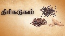 திரிகடுகம் 