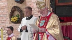 Mons. Gallagher počas slávnostnej svätej omše vo Svätyni Matky Božej Škapuliarskej v Berdyčive