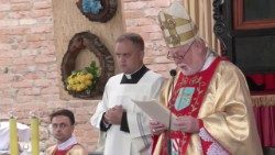 Арцыбіскуп Галахер падчас Імшы ў санктуарыі Маці Божай у Бярдзічаве