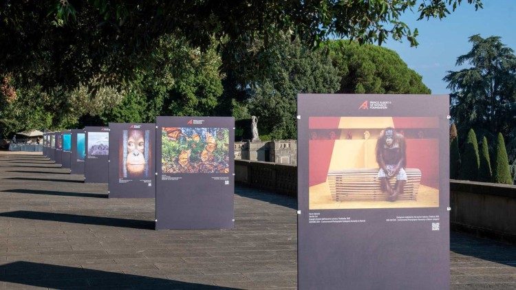 L’exposition   (&copy; Mauro Salvatori, Fondation Prince Albert II de Monaco)