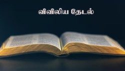 விவிலியத் தேடல் 