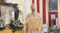 Gospićko-senjski biskup Marko Medo propovijeda na Dan grada Gospića (Foto: GS biskupija)