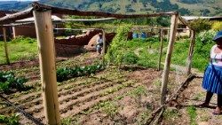 Horta familiar cultivada com novas técnicas de irrigação