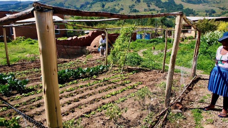 Horta familiar cultivada com novas técnicas de irrigação