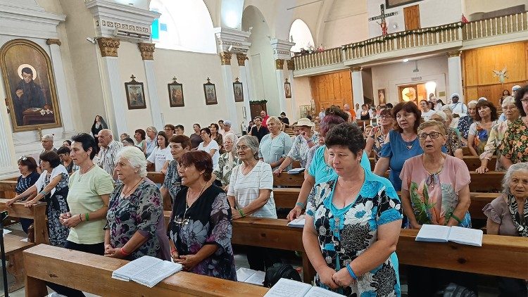 Никополски диоцез