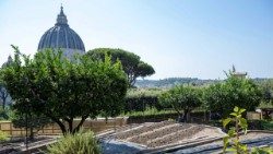 Một góc vườn của đan viện Mater Ecclesiae tại Vatican.