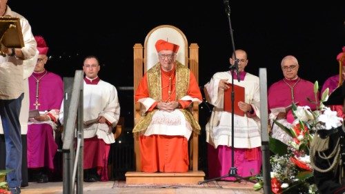  Cardinal Parolin: &laquo;Prions pour les nombreux chr&eacute;tiens pers&eacute;cut&eacute;s dans le monde&raquo;