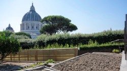 The Pope's Garden inside the Vatican Gardens by the Mater Ecclesiae monastery