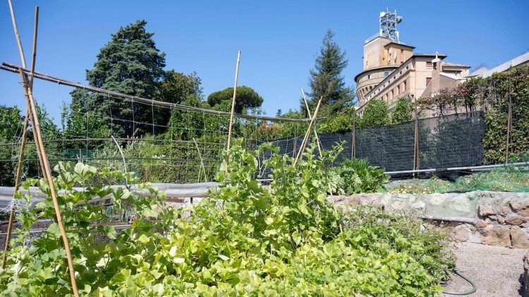 Il calendario delle coltivazioni nell'orto segue i ritmi della stagionalit&agrave;.