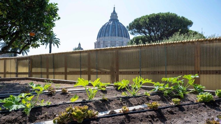 L'orto dei Giardini Vaitcani: 400 metri quadrati coltivati secondo criteri biologici. 