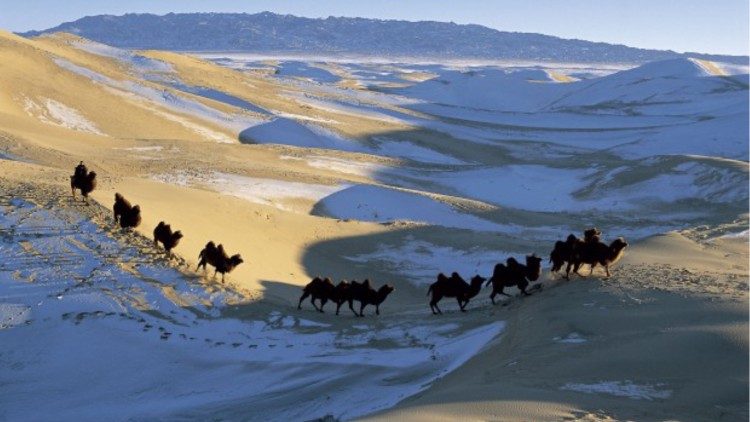 Mongolia, il deserto del Gobi