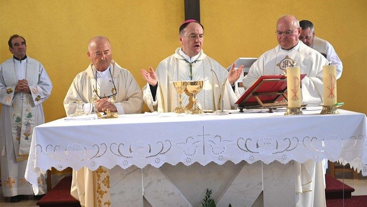 Biskup Petar Palić na svetkovinu Kraljice mira - Kraljice Hrvata u Zemuniku Donjem (Foto: Ines Grbić)
