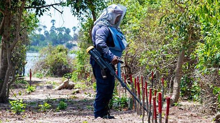 Die Arbeit des HALO Trust